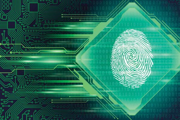 Seguridad de acceso a la red